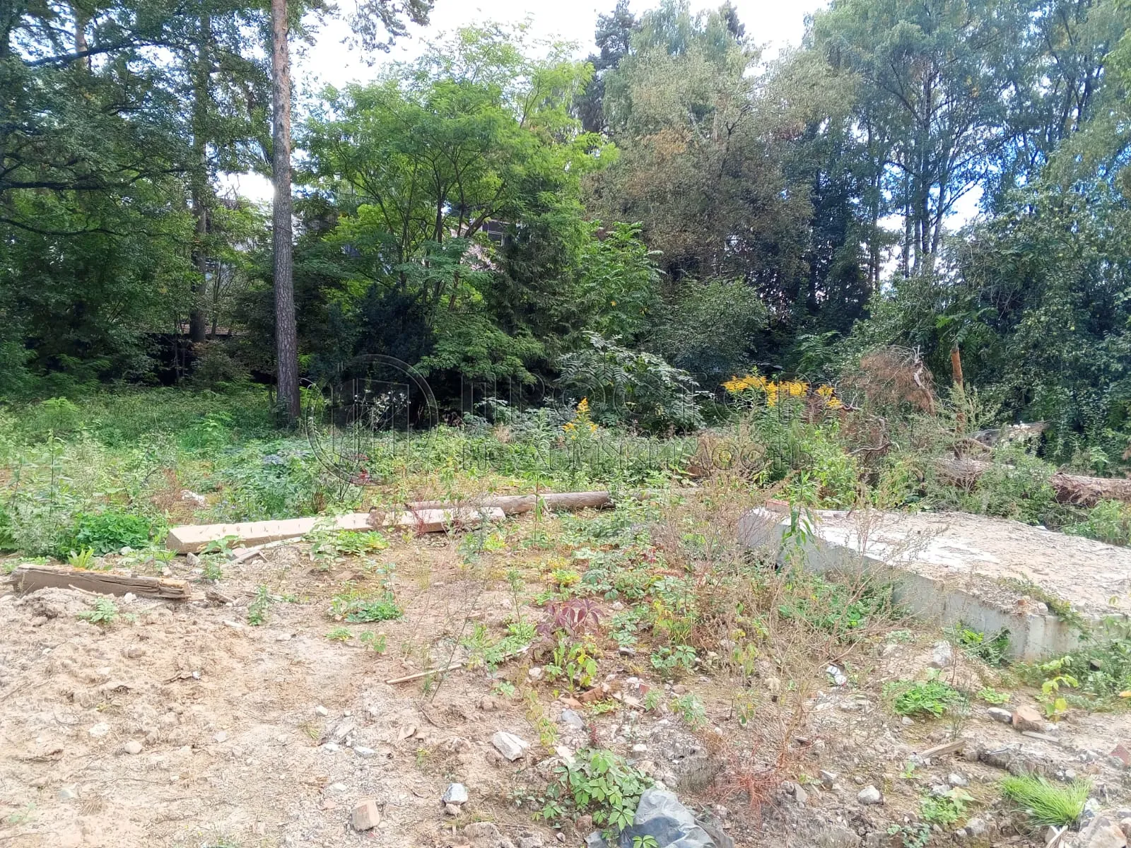 Участок, 6 сот. - фото 5