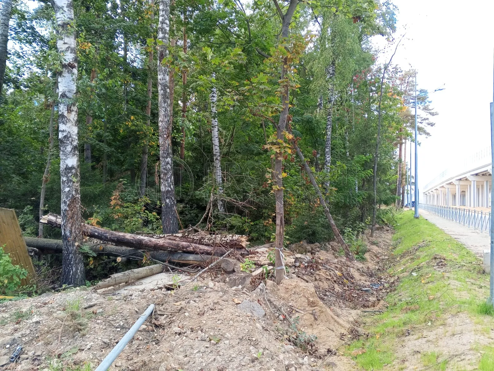 Участок, 6 сот. - фото 6