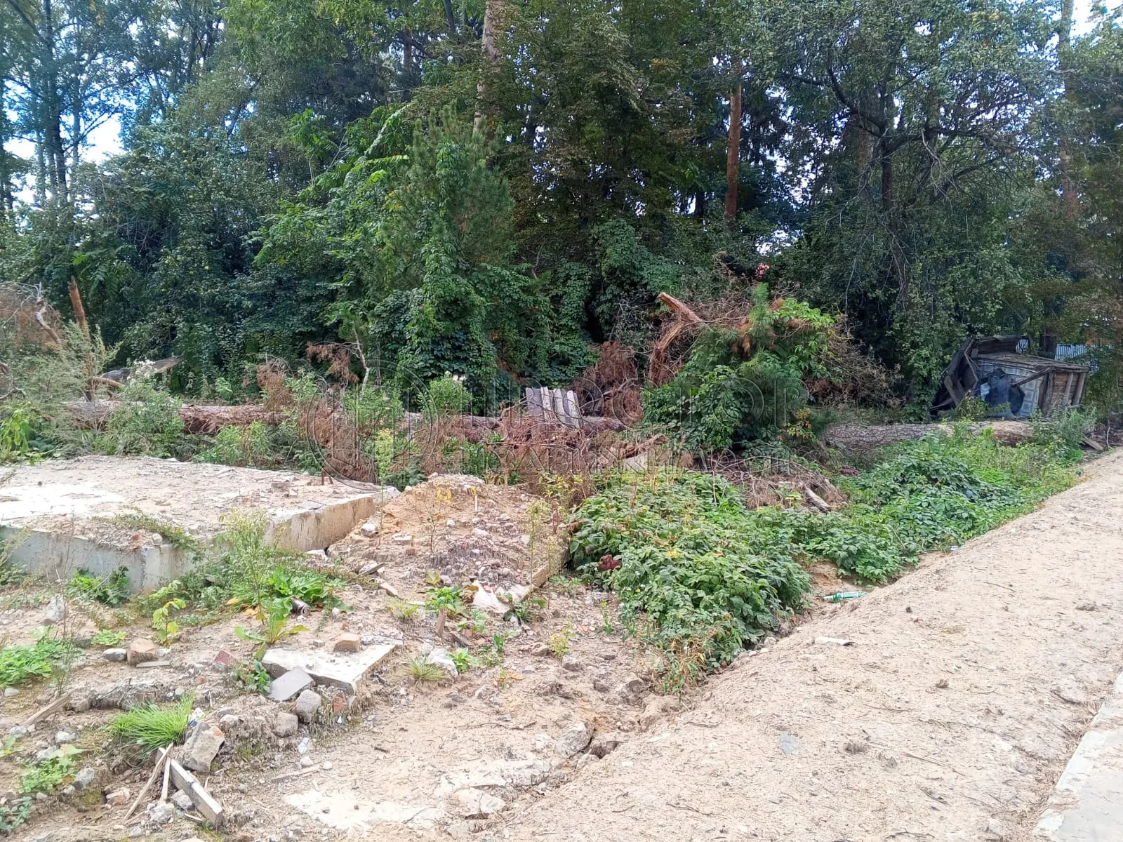 Участок, 6 сот. - фото 8