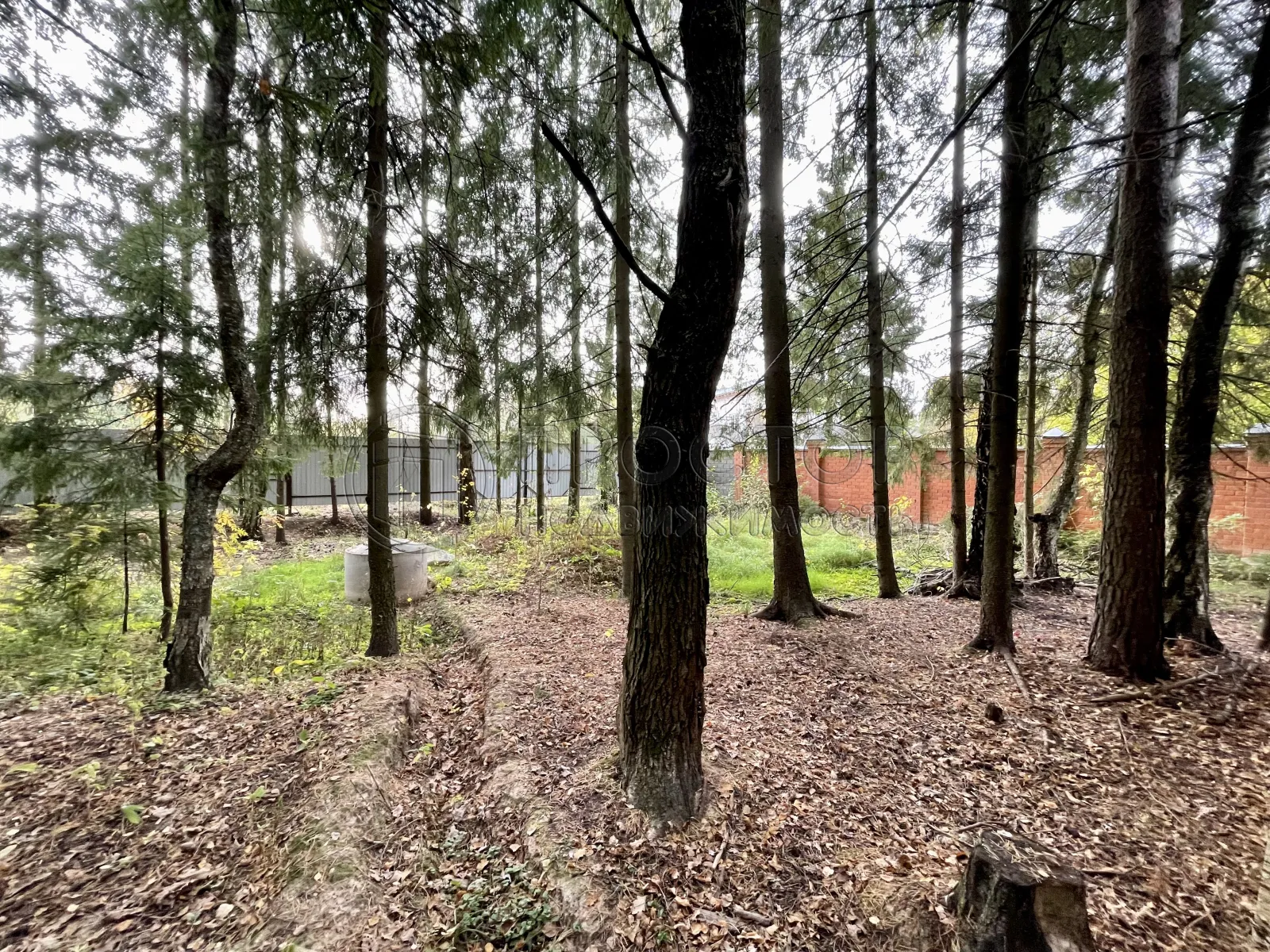 Участок, 8.9 сот. - фото 2