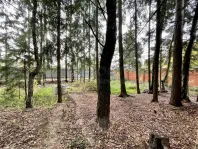 Участок, 8.9 сот. - фото 3