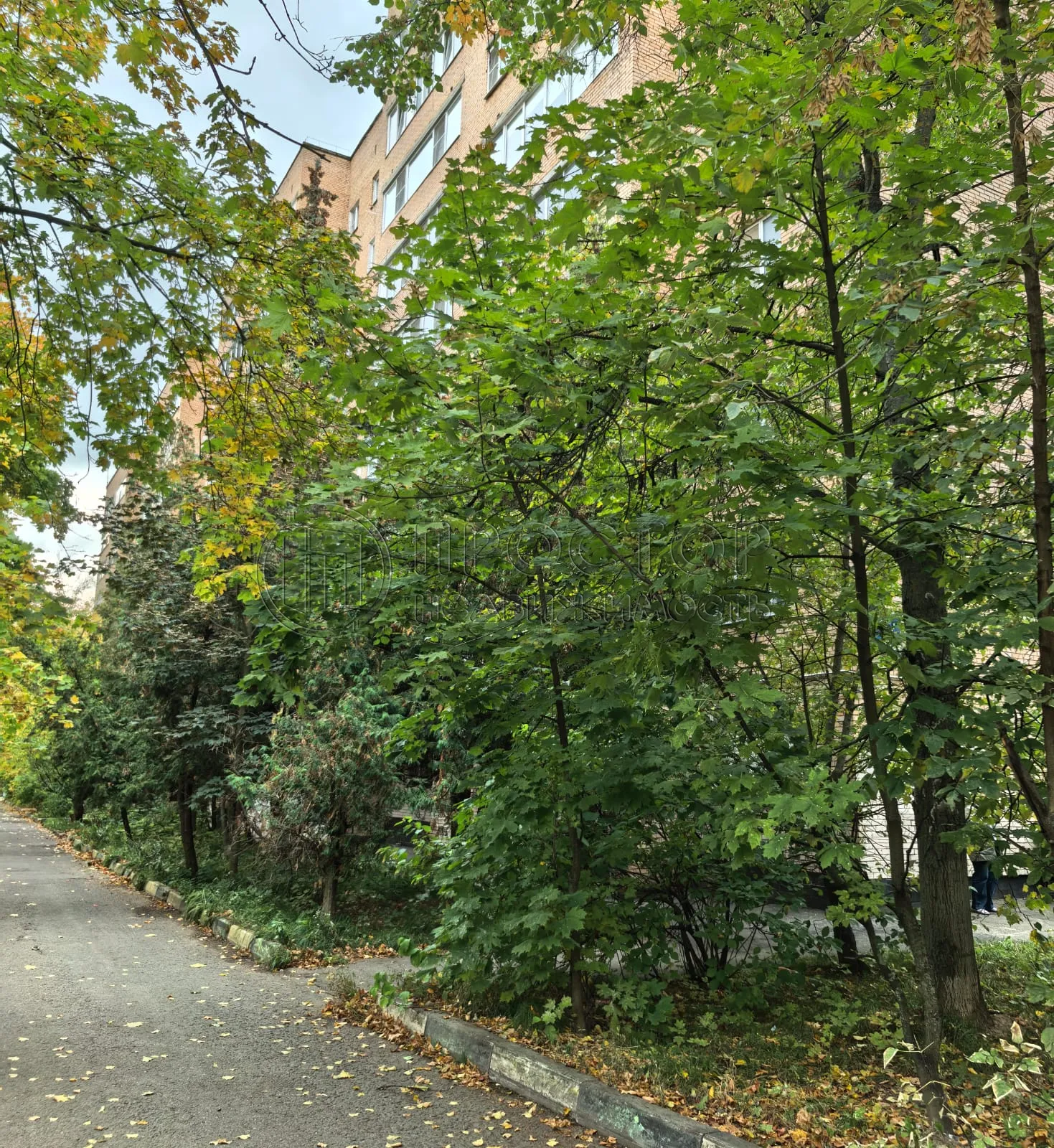 3-комнатная квартира, 63.8 м² - фото 4