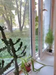1-комнатная квартира, 34.5 м² - фото 13