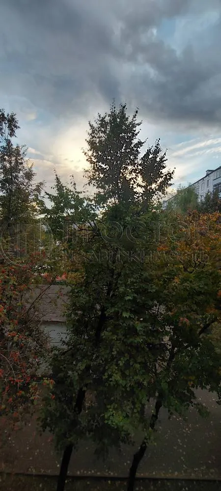 1-комнатная квартира, 32.5 м² - фото 17