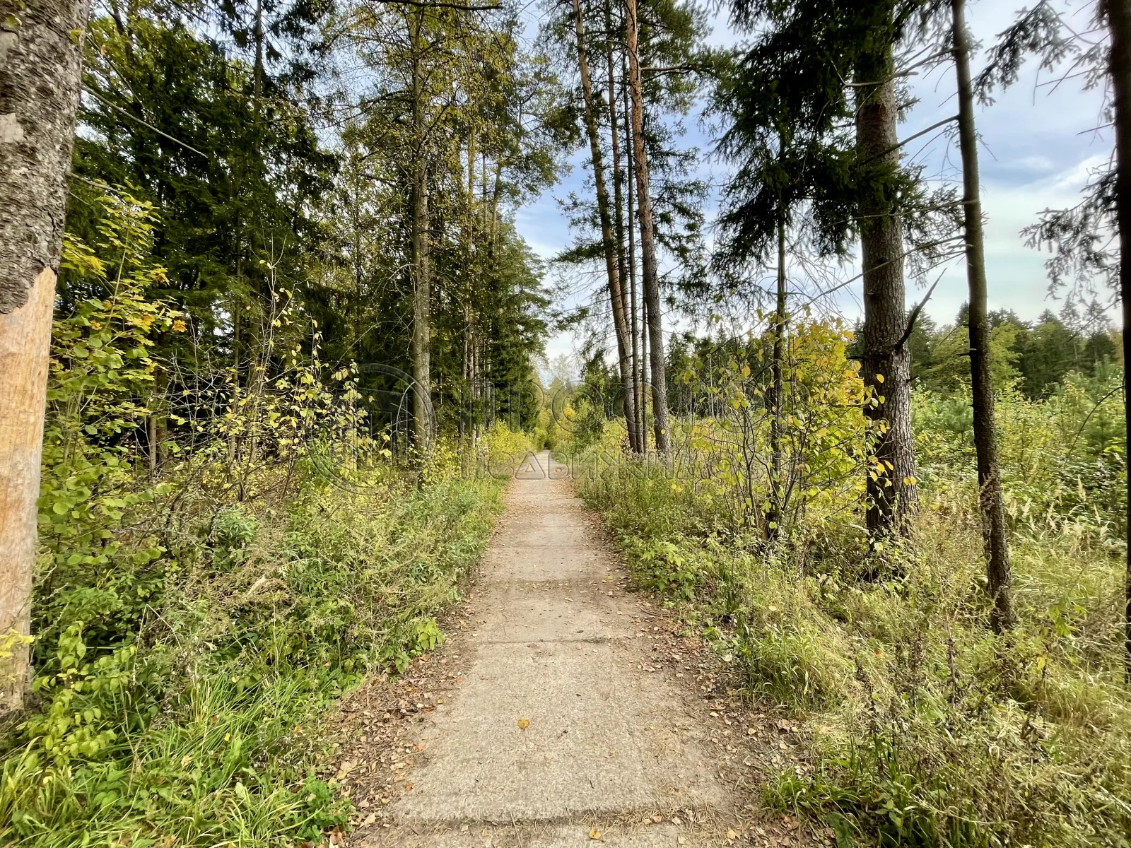 Дом, 190 м² - фото 9