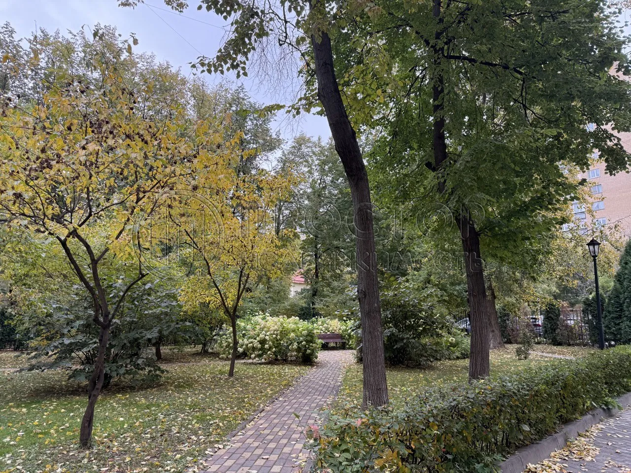 1-комнатная квартира, 31.1 м² - фото 5