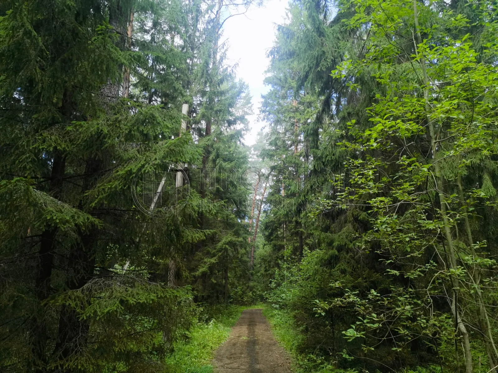 Коммерческая недвижимость (земельный участок),  м² - фото 3