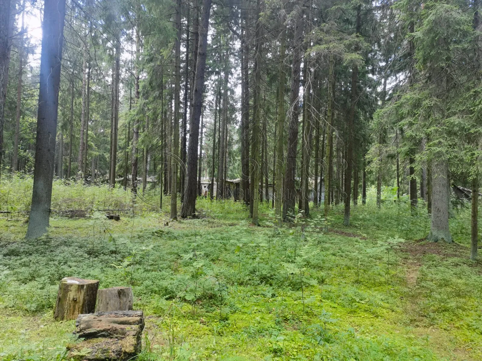 Коммерческая недвижимость (земельный участок),  м² - фото 4