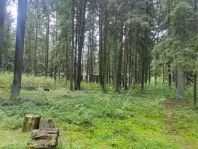 Коммерческая недвижимость (земельный участок),  м² - фото 29