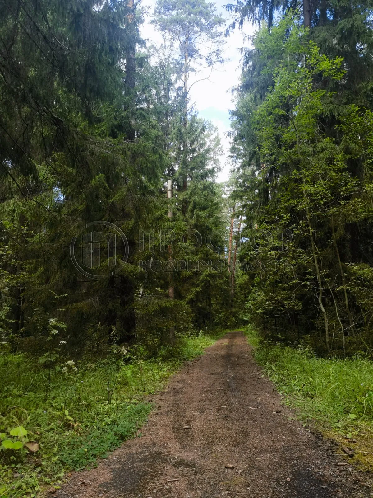 Коммерческая недвижимость (земельный участок),  м² - фото 5