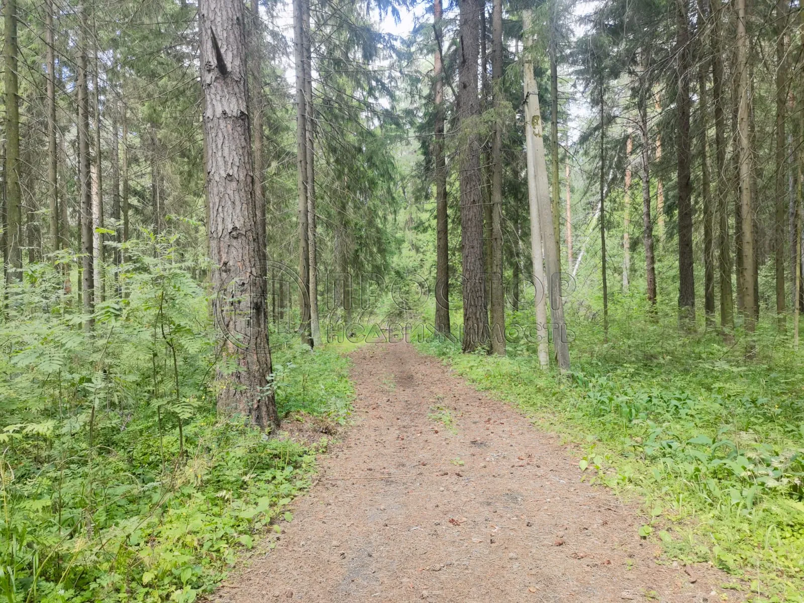 Коммерческая недвижимость (земельный участок),  м² - фото 6