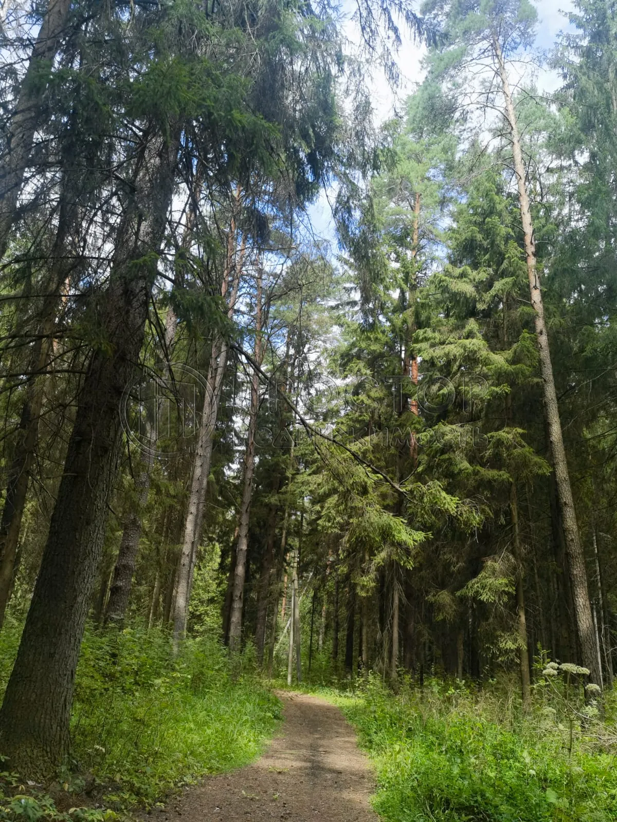 Коммерческая недвижимость (земельный участок),  м² - фото 8