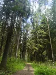Коммерческая недвижимость (земельный участок),  м² - фото 33