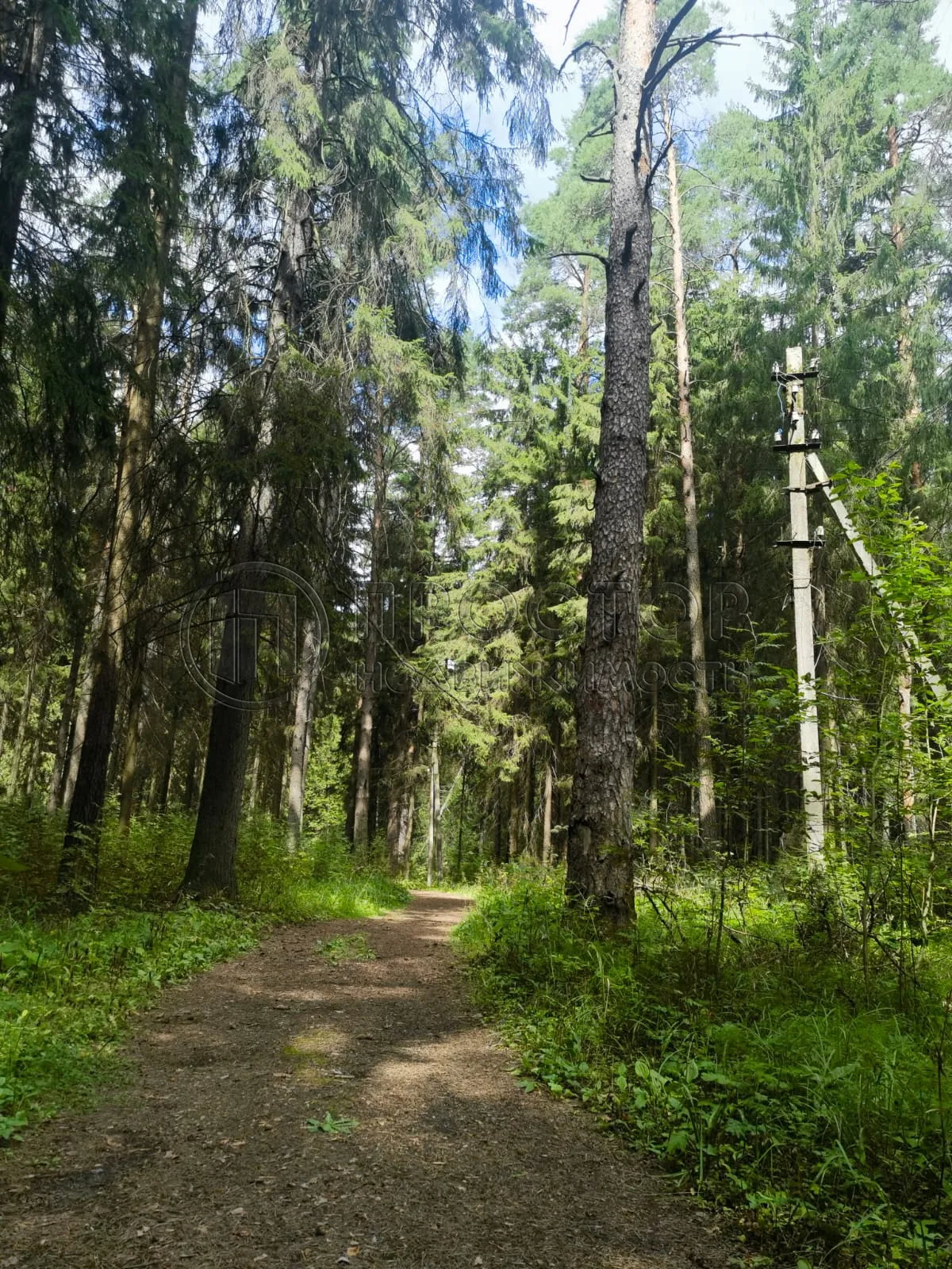 Коммерческая недвижимость (земельный участок),  м² - фото 9