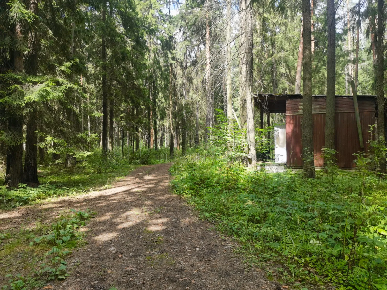 Коммерческая недвижимость (земельный участок),  м² - фото 10