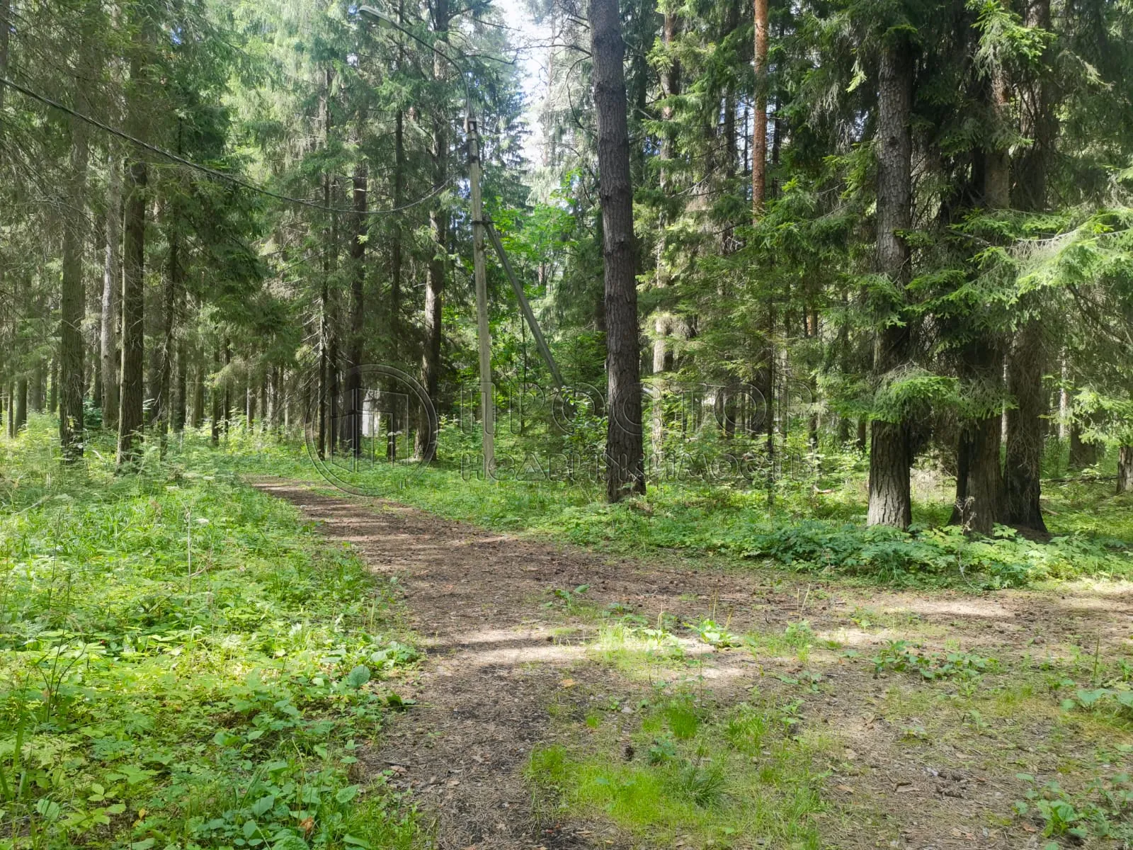 Коммерческая недвижимость (земельный участок),  м² - фото 11