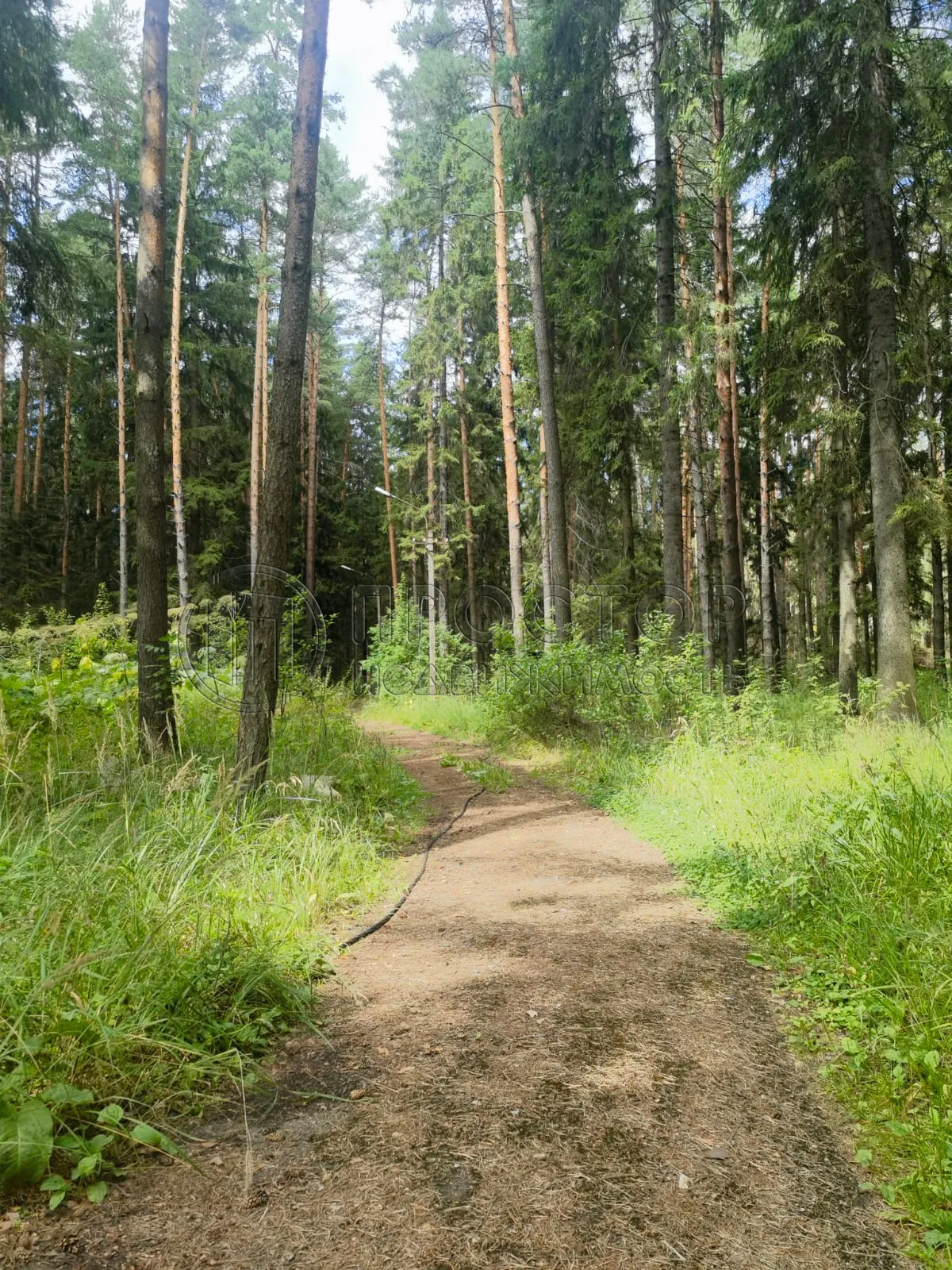 Коммерческая недвижимость (земельный участок),  м² - фото 12