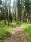 Коммерческая недвижимость (земельный участок),  м² - фото 37