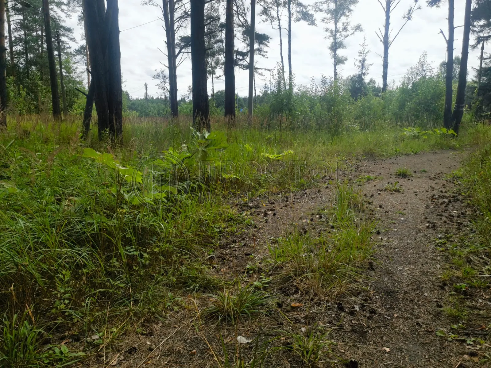 Коммерческая недвижимость (земельный участок),  м² - фото 13