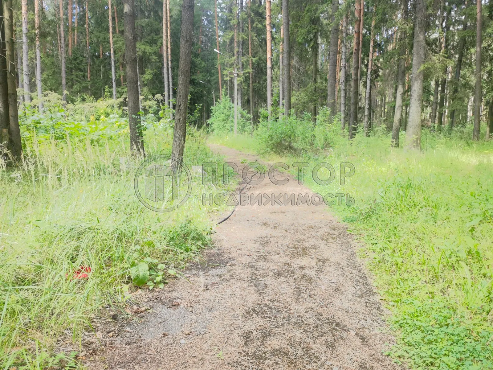 Коммерческая недвижимость (земельный участок),  м² - фото 15