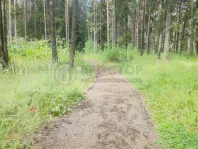Коммерческая недвижимость (земельный участок),  м² - фото 40