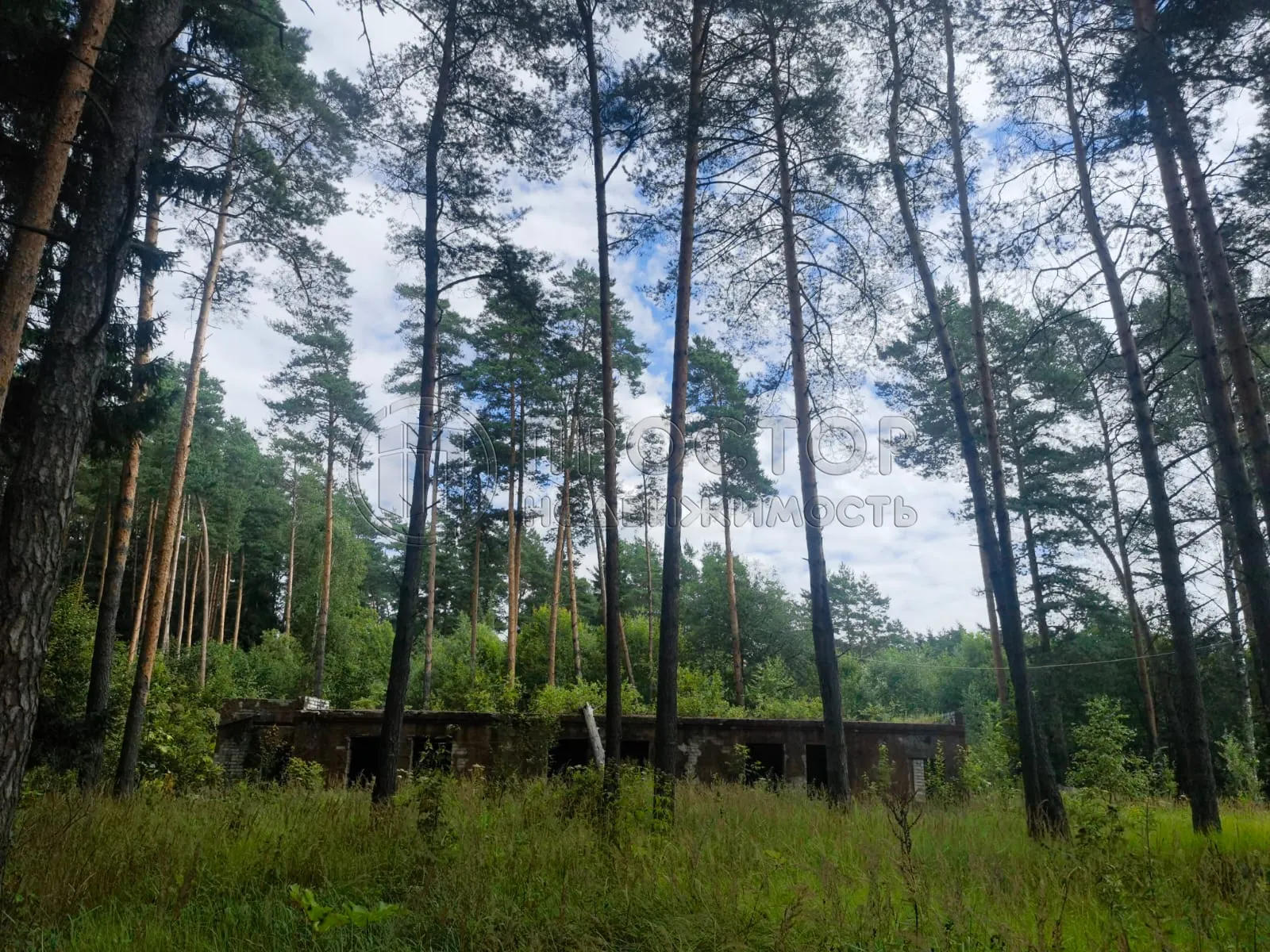 Коммерческая недвижимость (земельный участок),  м² - фото 16