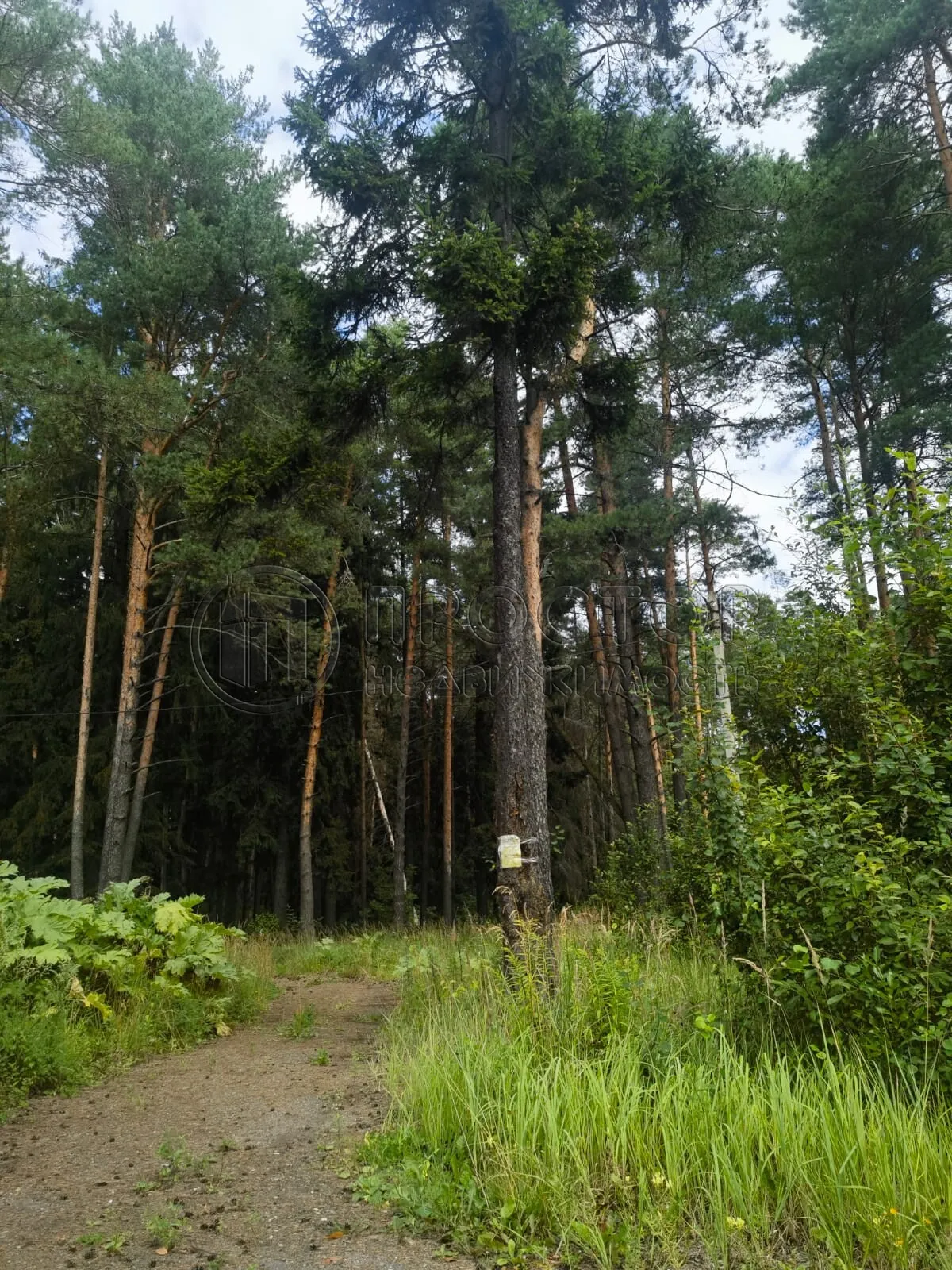 Коммерческая недвижимость (земельный участок),  м² - фото 17