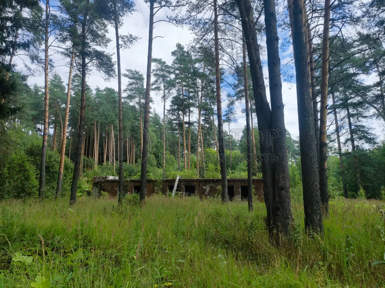 Коммерческая недвижимость (земельный участок),  м² - фото 18