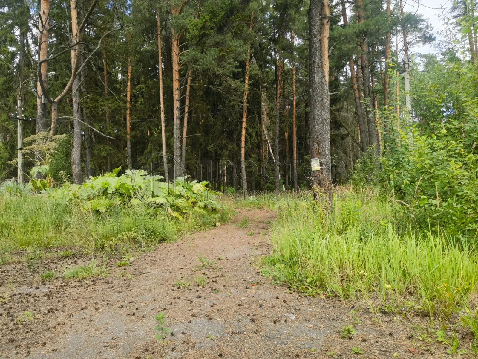 Коммерческая недвижимость (земельный участок),  м² - фото 19