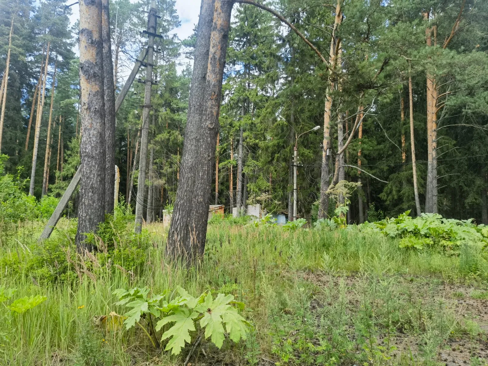 Коммерческая недвижимость (земельный участок),  м² - фото 20