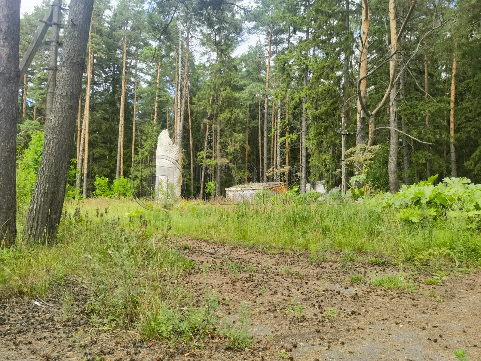 Коммерческая недвижимость (земельный участок),  м² - фото 21