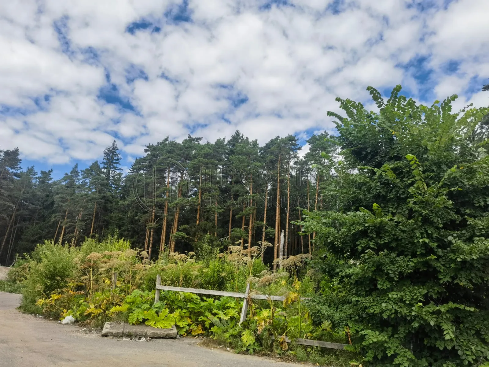 Коммерческая недвижимость (земельный участок),  м² - фото 23