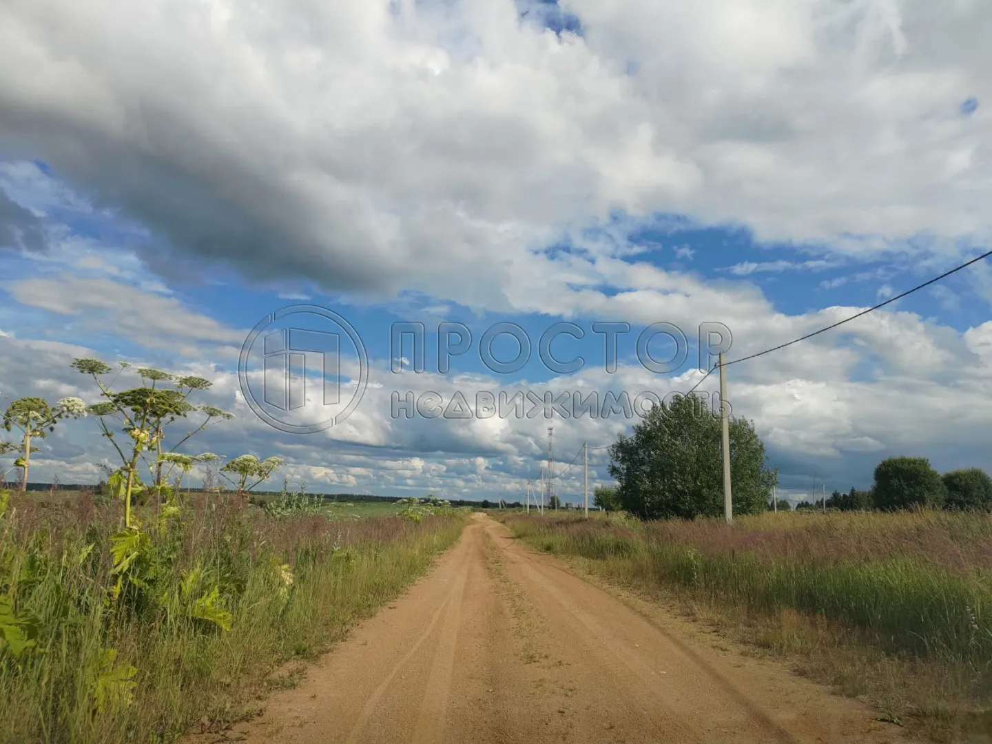 Участок, 100 сот. - фото 3