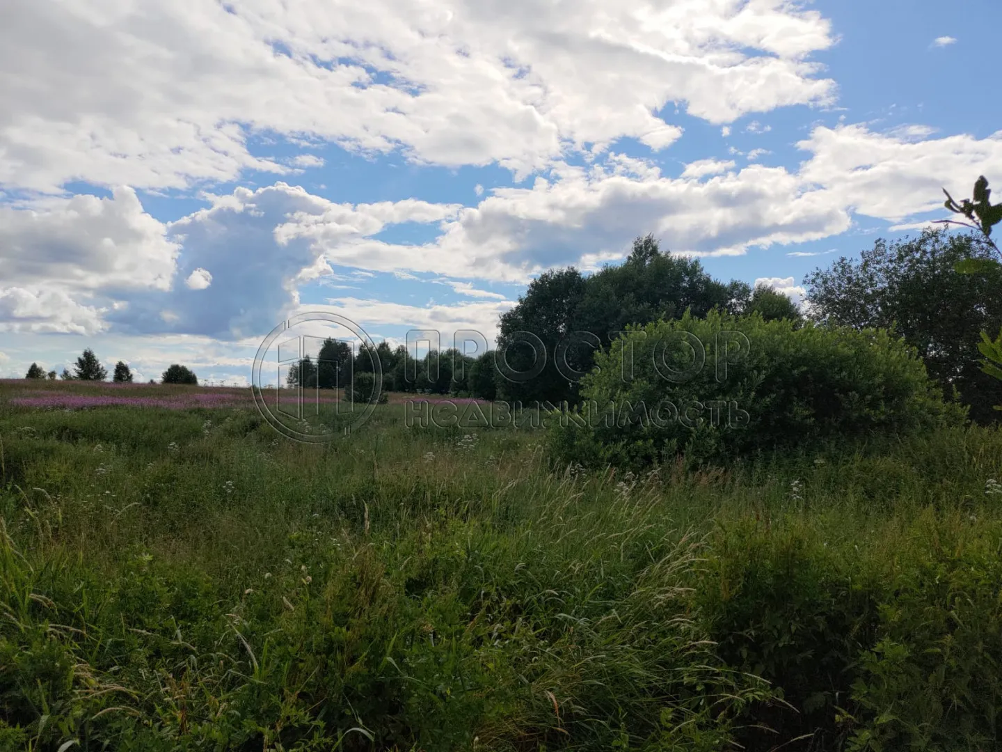 Участок, 100 сот. - фото 5