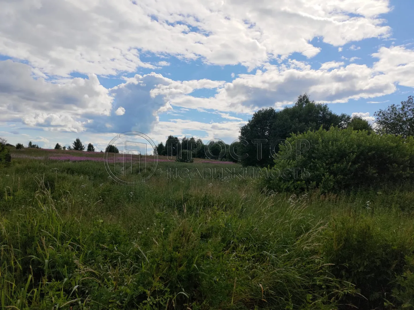 Участок, 100 сот. - фото 7