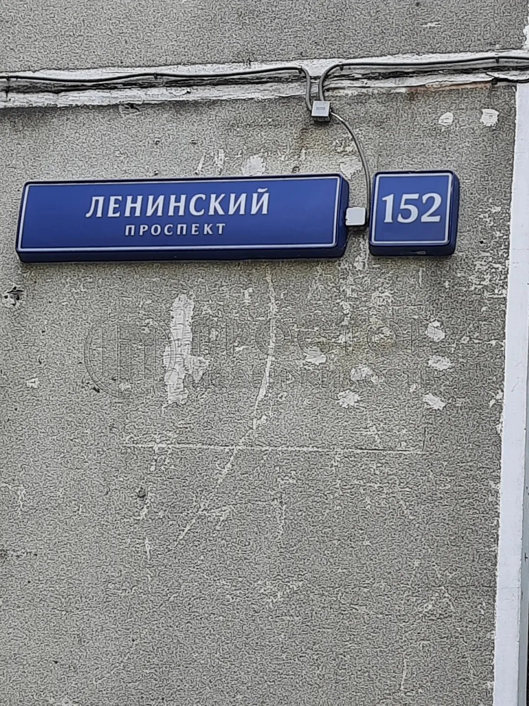 2-комнатная квартира, 53.5 м² - фото 3