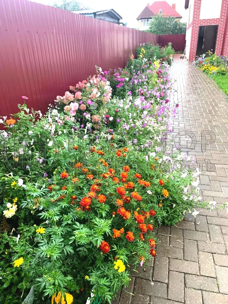 Дом, 260 м² - фото 25