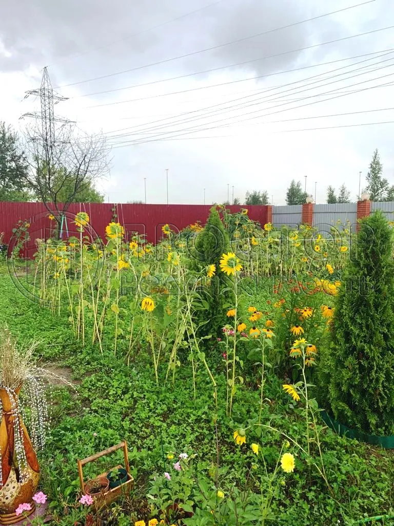 Дом, 260 м² - фото 26