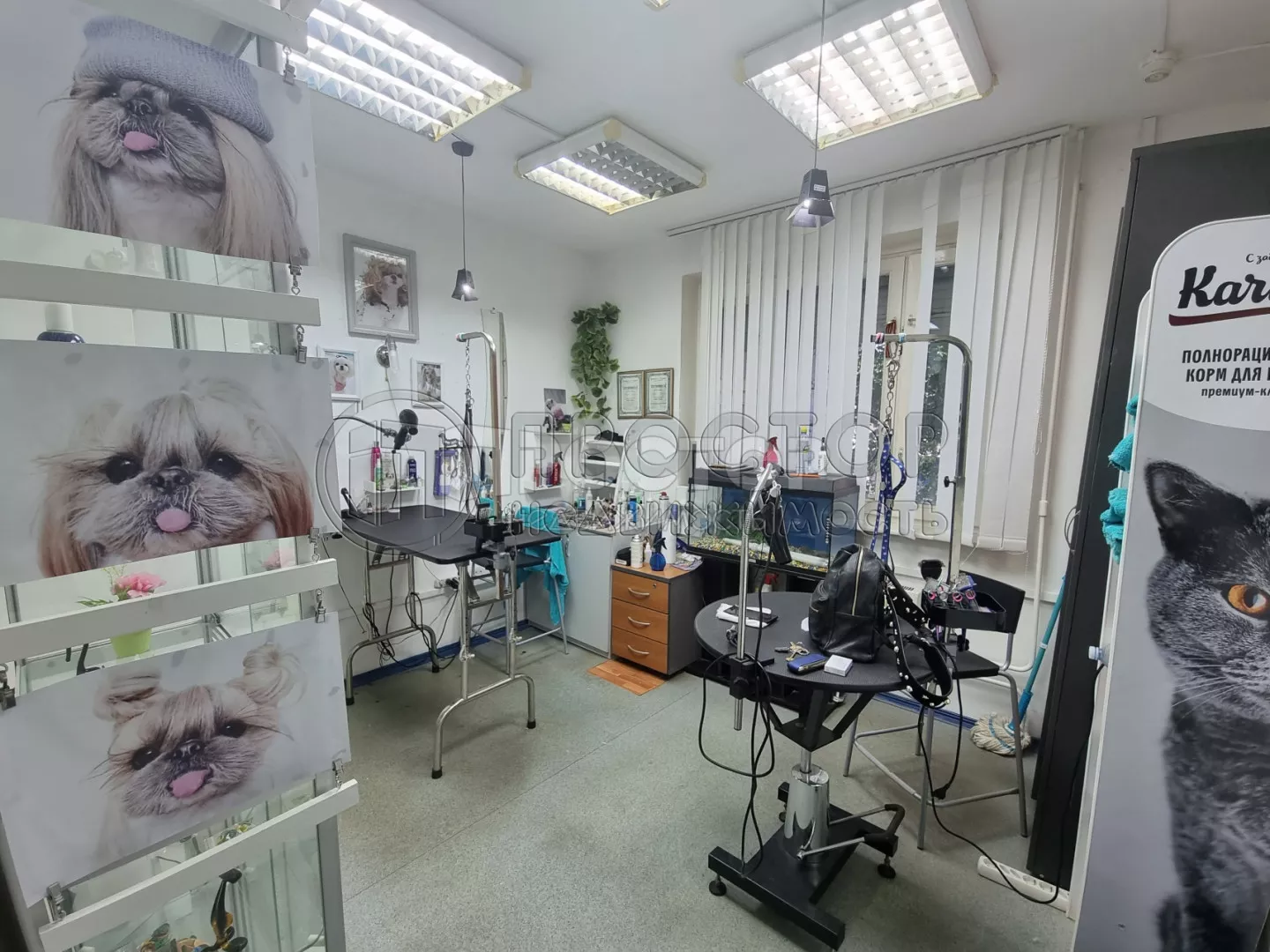 Коммерческая недвижимость (свободного назначения), 142 м² - фото 13