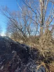 Коммерческая недвижимость (земельный участок),  м² - фото 88
