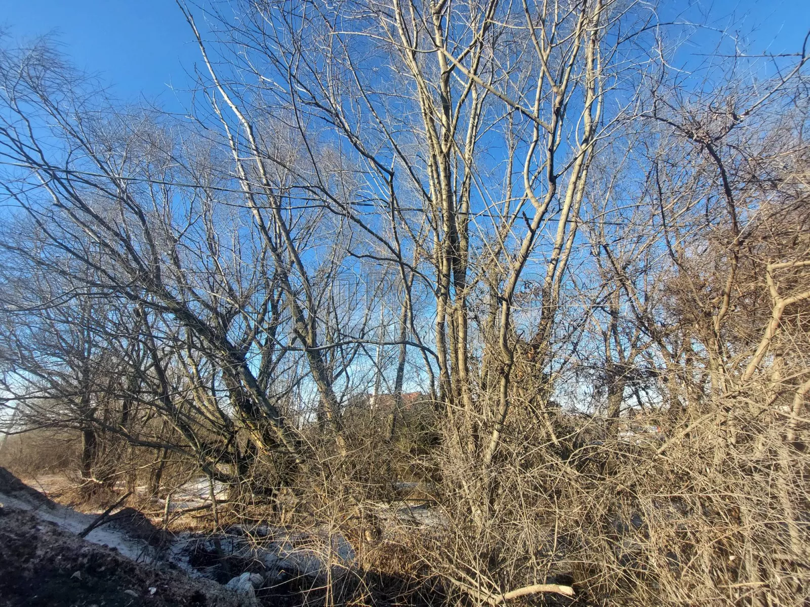 Коммерческая недвижимость (земельный участок),  м² - фото 40