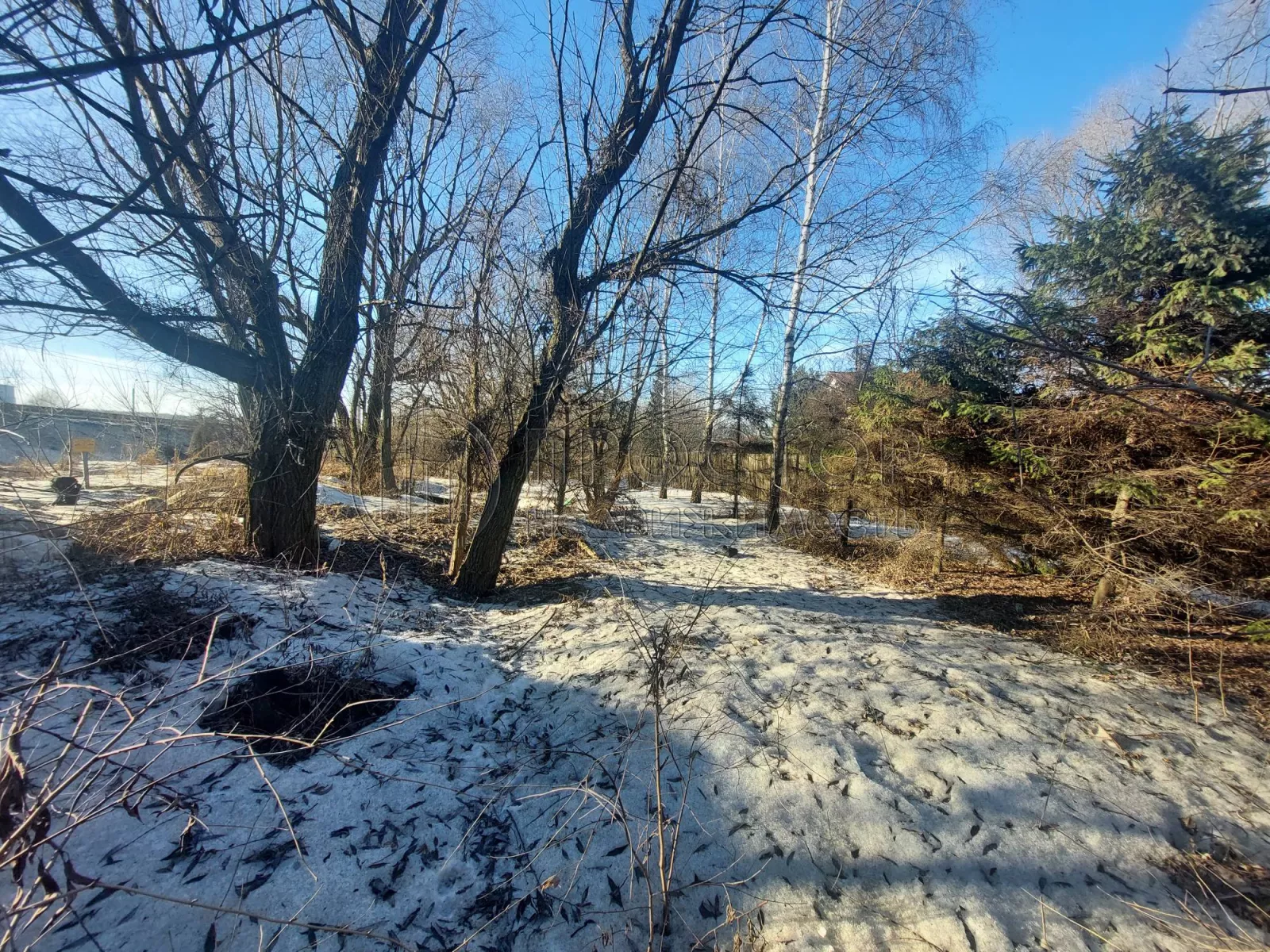 Коммерческая недвижимость (земельный участок),  м² - фото 43