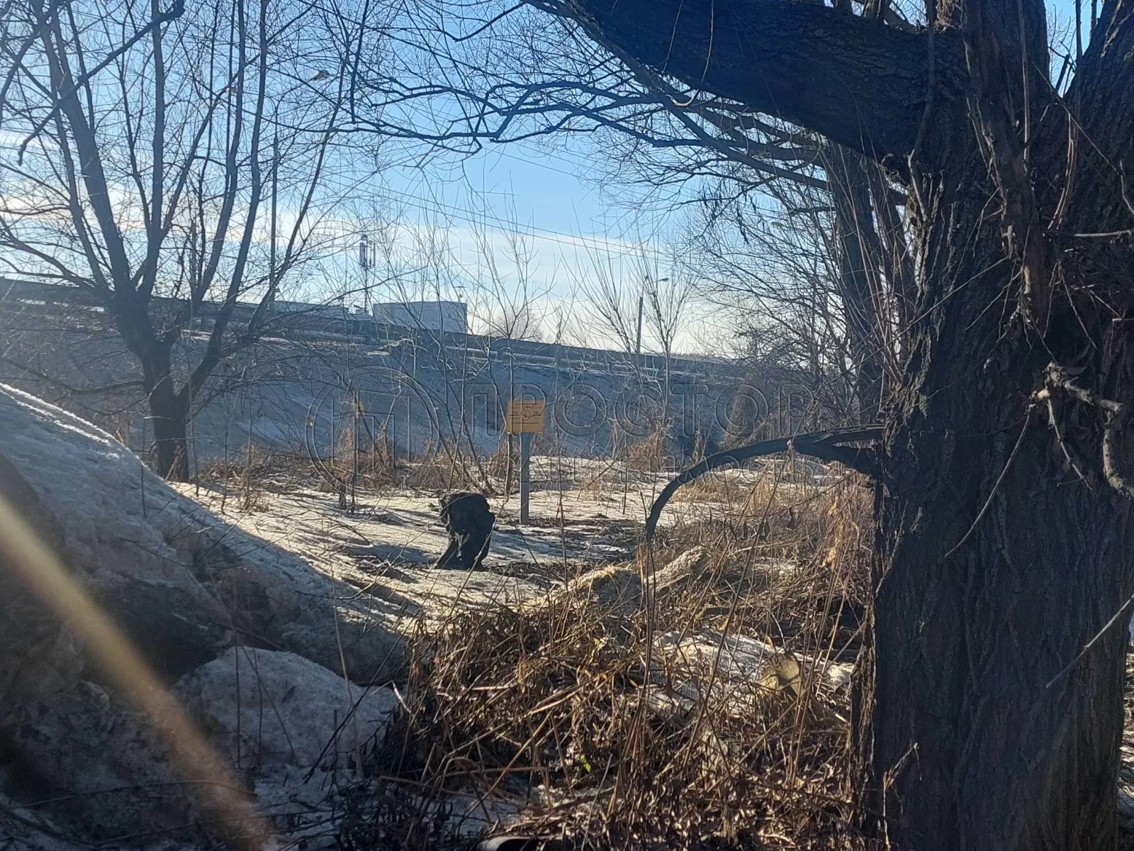 Коммерческая недвижимость (земельный участок),  м² - фото 44