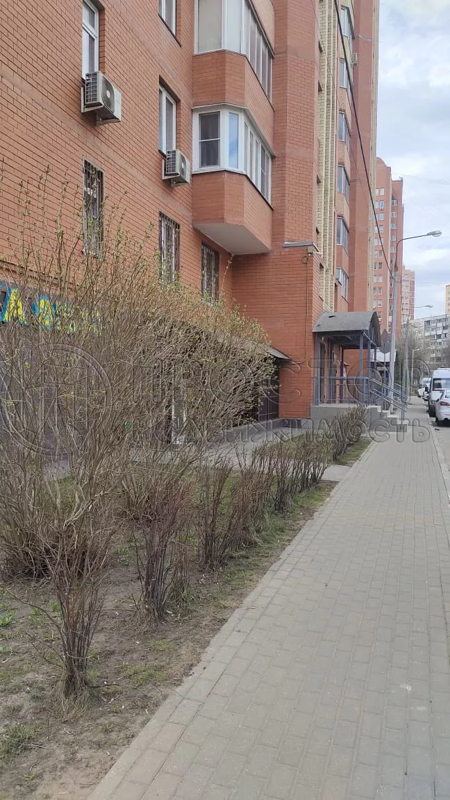 2-комнатная квартира, 50.9 м² - фото 3