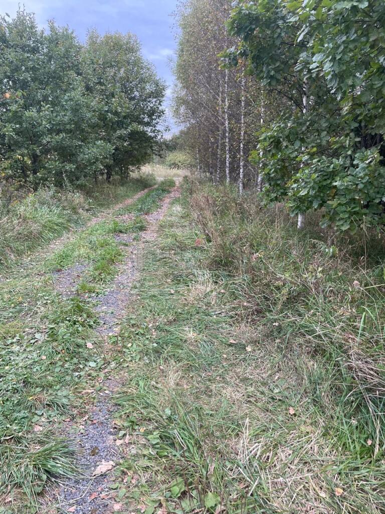 Участок, 7.5 сот. - фото 6