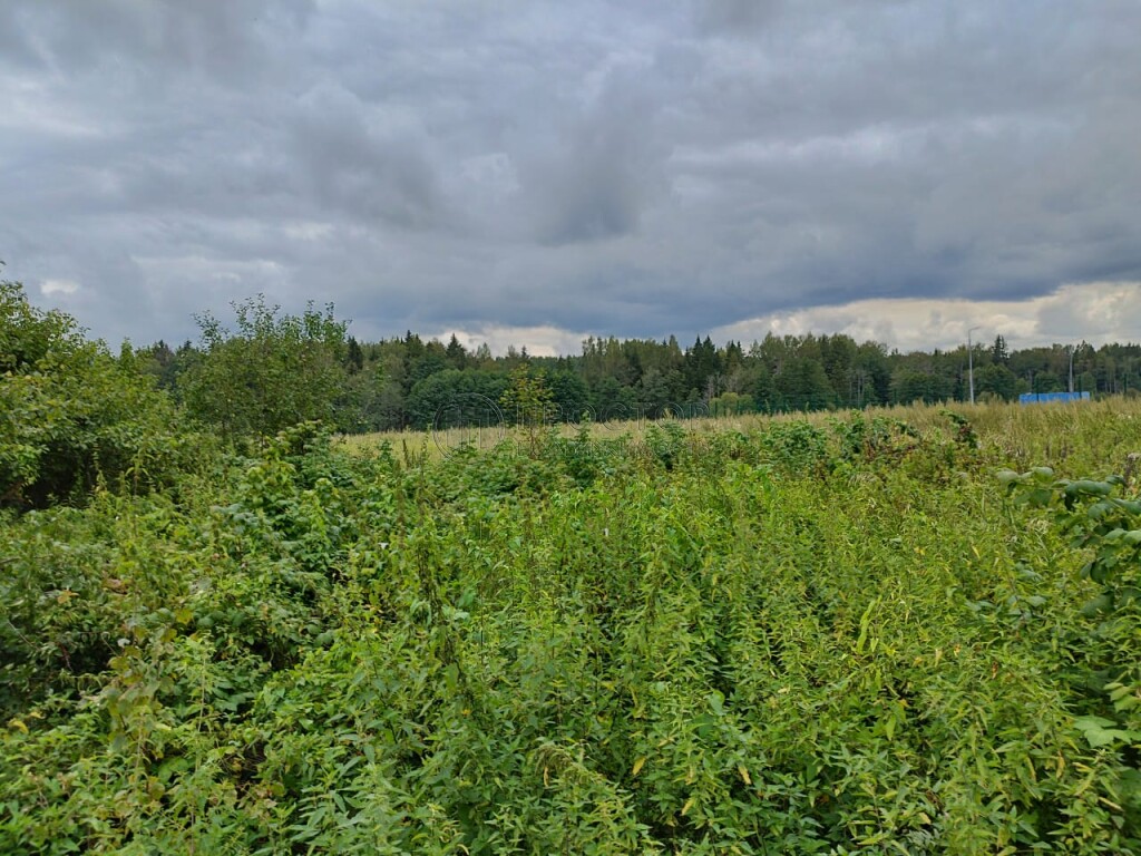 Участок, 5 сот. - фото 7