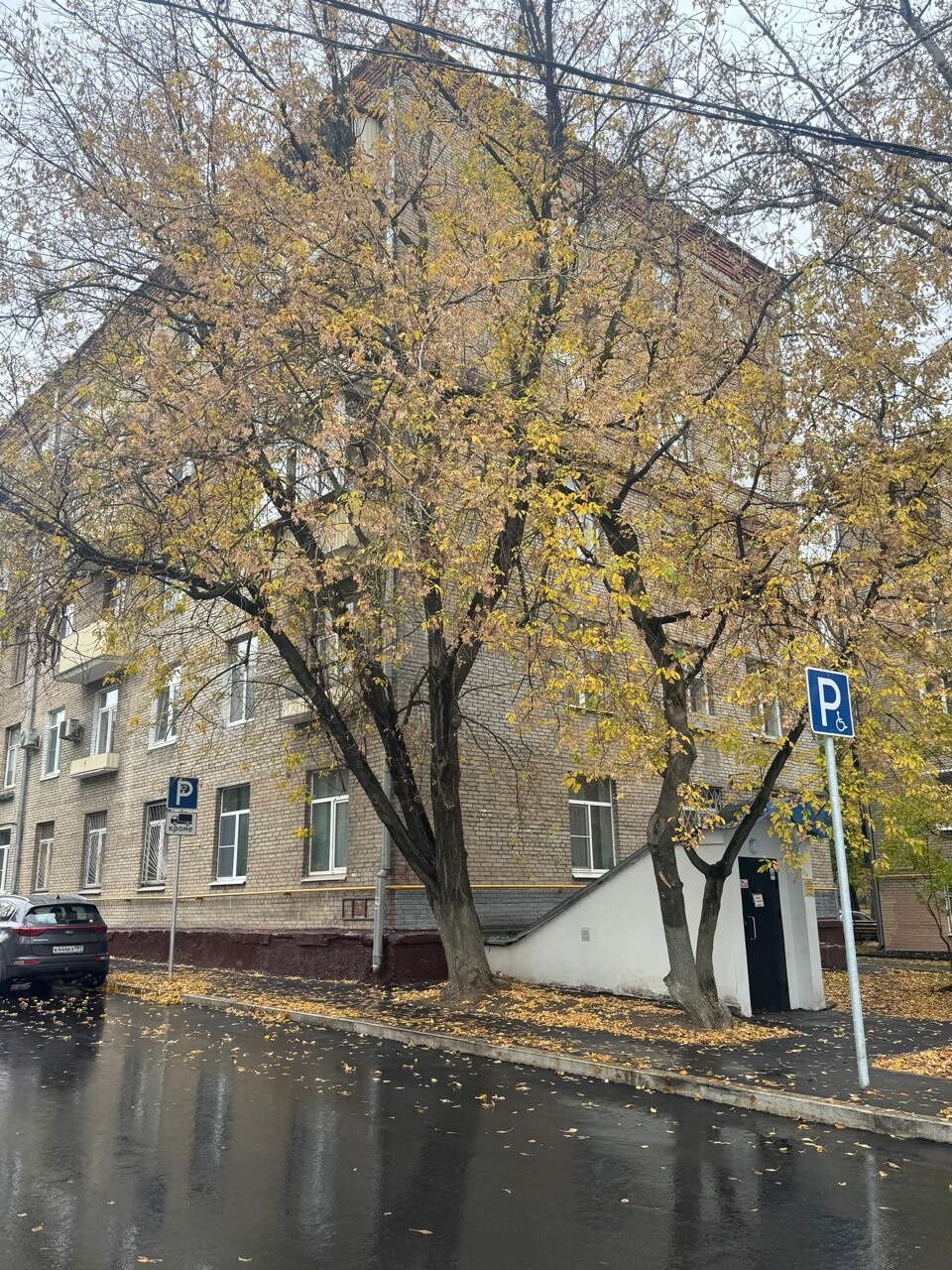 Свободного назначения, 250 м.кв., продажа