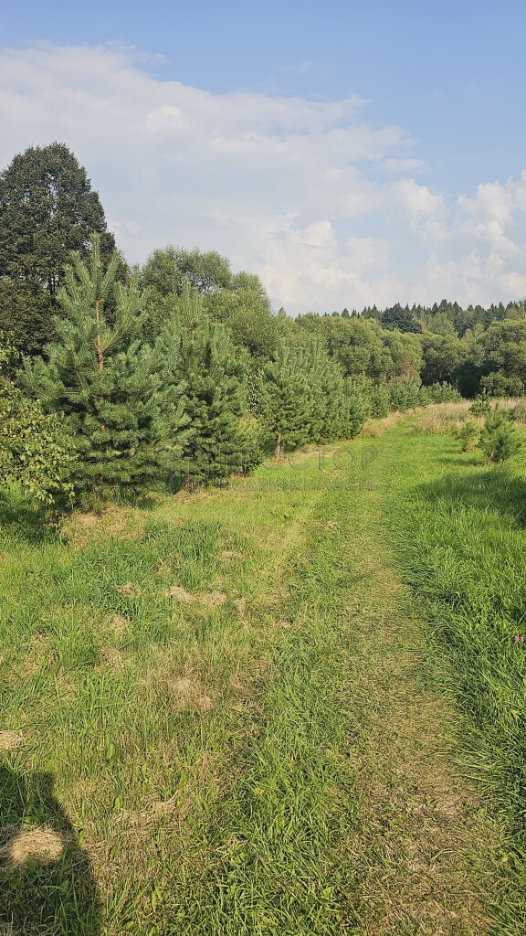 дом, 76 м² - фото 25