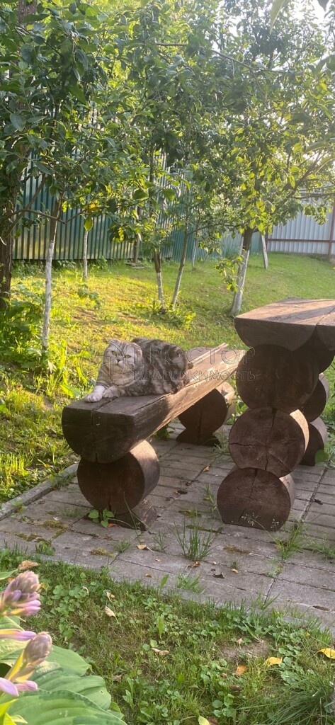 дом, 76 м² - фото 28