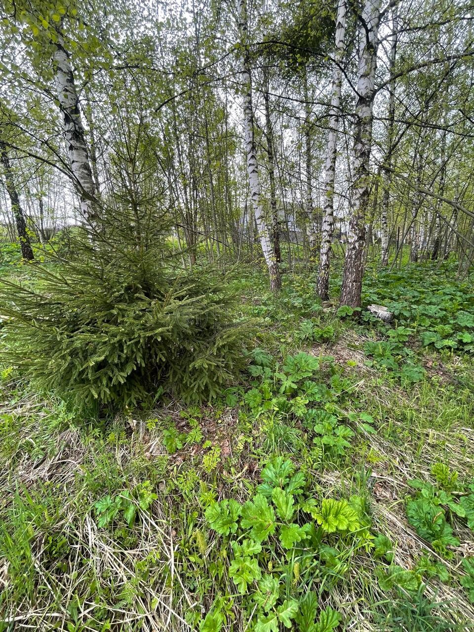 Участок, 10 сот. - фото 12